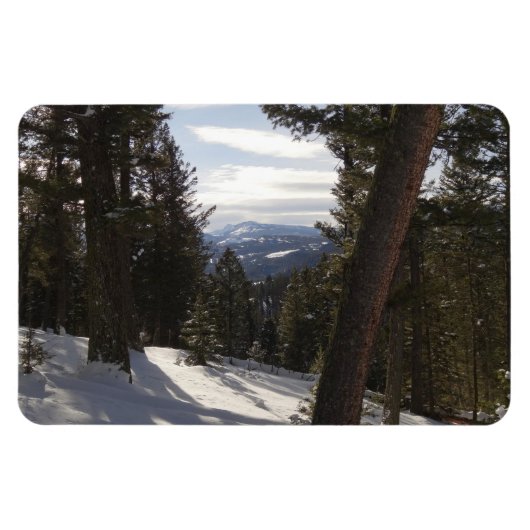 モンタナの冬のマディソン山脈 マグネット (横)