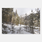 モンタナの冬のマディソン山脈 ラッピングペーパーシート (正面3)