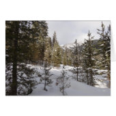 モンタナの冬の雪山の景色 (正面横)