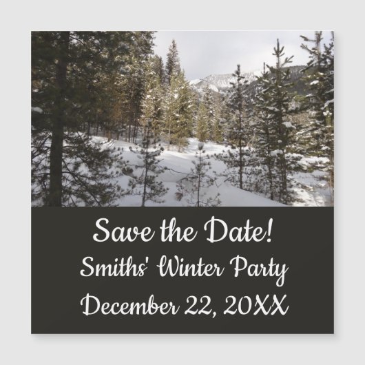 モンタナの冬の雪山の景色 (正面)