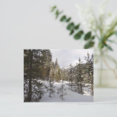 モンタナの冬の雪山の景色 ポストカード (スタンド正面)