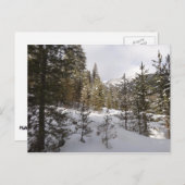 モンタナの冬の雪山の景色 ポストカード (正面/裏面)