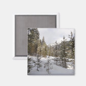 モンタナの冬の雪山の景色 マグネット (正面/裏面)