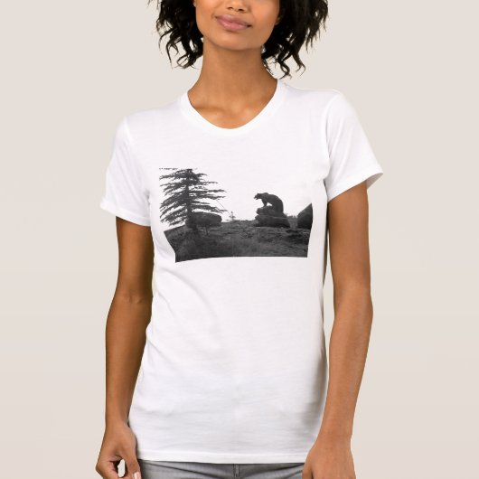 モンタナの灰色グマの遭遇 Tシャツ (正面)