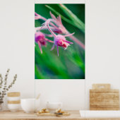モンタナの草原の花のマクロ写真 ポスター (キッチン)
