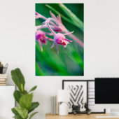 モンタナの草原の花のマクロ写真 ポスター (ホームオフィス)