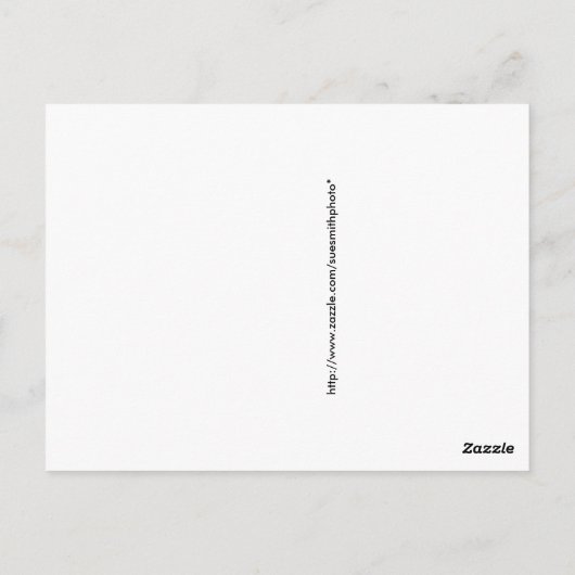 モンタナウェルカムサイン – モンタナ縁ど ポストカード (裏面)