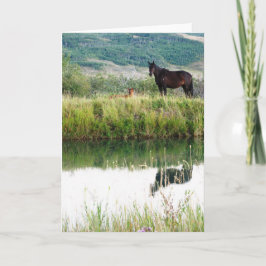 モンタナウズ カード