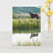 モンタナウズ カード (黄色い花)