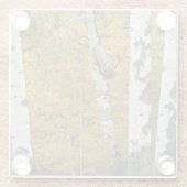 モンタナオータムガラスコースター ガラスコースター (裏面)