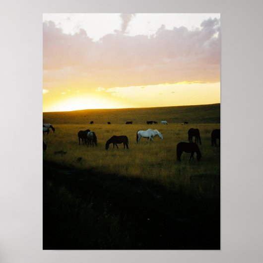 モンタナスカイ ポスター (正面)