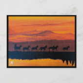 モンタナズバイアルフレッ絵を描ドキツネの野生の馬 ポストカード (正面)