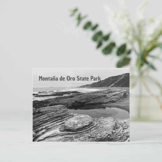 モンタナデオロ州パークカリフォルニアポストカード ポストカード (スタンド正面)