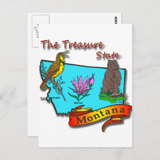 モンタナトレジャー州ベアラークフラワー ポストカード (正面/裏面)