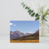 モンタナフィールド&マウンテンポストカード ポストカード (スタンド正面)