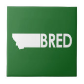 モンタナブレッド タイル (正面)