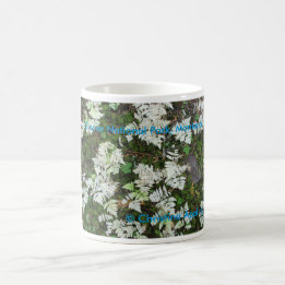 モンタナマグ氷河の国立公園でシダ コーヒーマグカップ