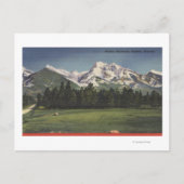 モンタナモンタナのミッションマウンテンズビュー ポストカード (正面)