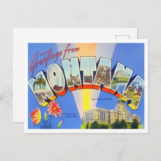 モンタナヴィンテージ大文字葉書 ポストカード (正面/裏面)