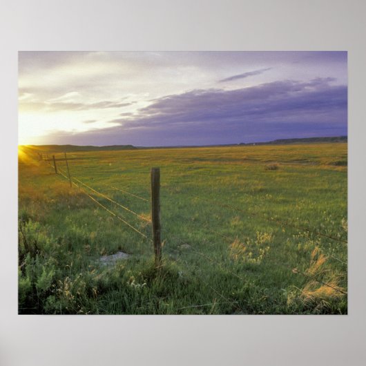 モンタナ北東部の有刺鉄線 ポスター (正面)