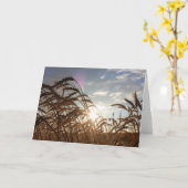 モンタナ小麦 カード (黄色い花)