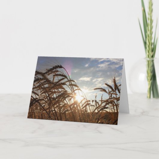 モンタナ小麦 カード (正面)