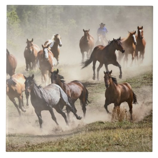 モンタナ州での馬追い込みの最中走る馬 タイル (正面)