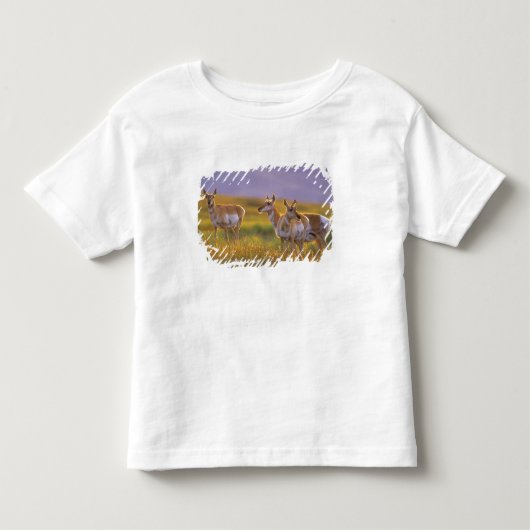 モンタナ州のプロングホーン トドラーTシャツ (正面)