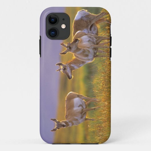 モンタナ州のプロングホーン Case-Mate iPhoneケース (裏面)