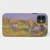 モンタナ州のプロングホーン Case-Mate iPhoneケース (裏面(横))