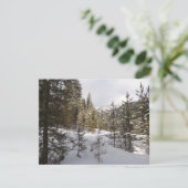モンタナ州の冬の雪山の風景 シーズンカード (スタンド正面)