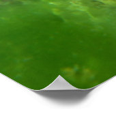 モンタナ州エメラルド湖トラウトポートレート ポスター (角)