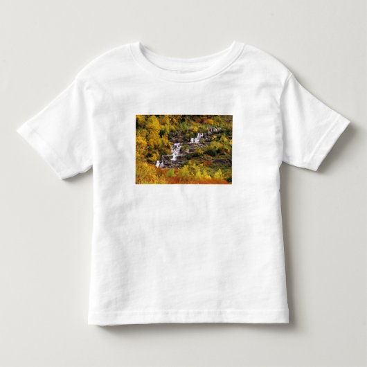 モンタナ州グレイシャー国立公園のキャノン山下の滝 トドラーTシャツ (正面)