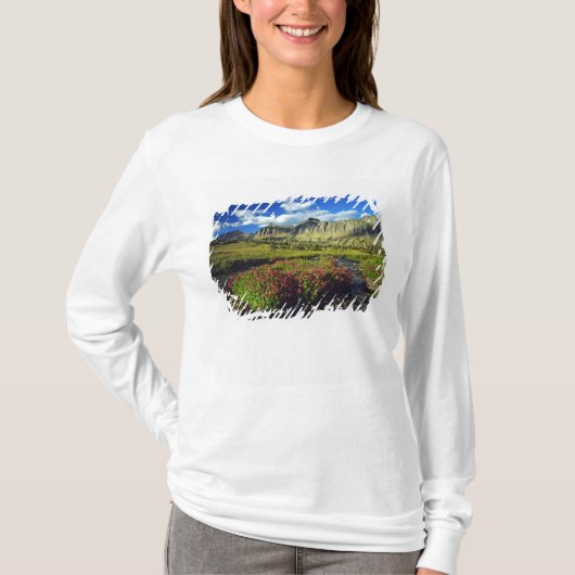 モンタナ州グレイシャー国立公園のローガン峠のゴマノハグサ Tシャツ (正面)