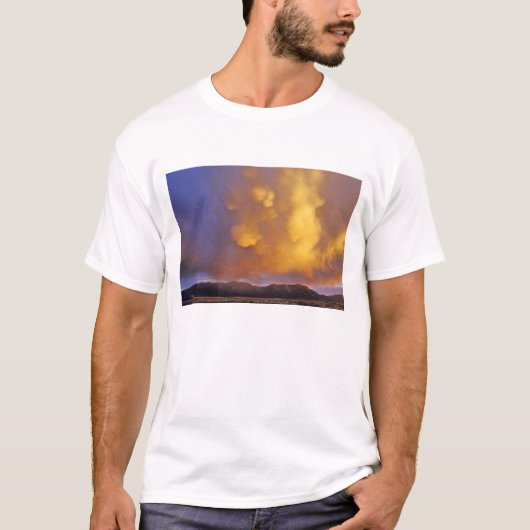 モンタナ州センテニアル・レンジの嵐の雲 Tシャツ (正面)