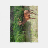 モンタナ州ナショナルバイソンレンジのブル・エルク フリースブランケット (正面)