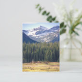 モンタナ州ヒアライトピークスボズマン ポストカード (スタンド正面)