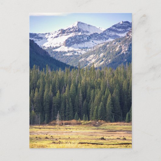 モンタナ州ヒアライトピークスボズマン ポストカード (正面)
