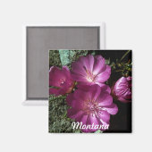 モンタナ州フラワービタールートマグネット マグネット (正面/裏面)