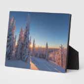 モンタナ州ホワイトフィッシュ フォトプラーク (側面)