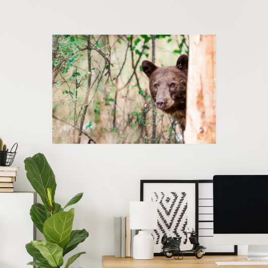 モンタナ州ミッソウラの幼稚園ブラックベアポートレート ポスター (ホームオフィス)