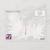 モンタナ州花:ビタールート ポストカード (裏面)