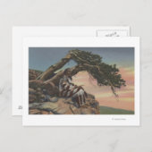 モンタナ州 - グレイシャー国立公園のインディアン首領 ポストカード (正面/裏面)