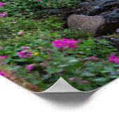 モンタナ州Wildflowers, Clements Mountain ポスター (角)