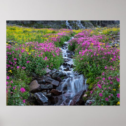 モンタナ州Wildflowers, Clements Mountain ポスター (正面)