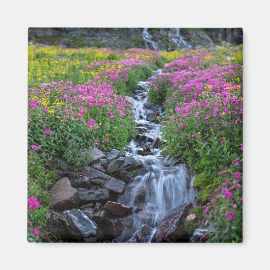 モンタナ州Wildflowers, Clements Mountain マグネット (正面)