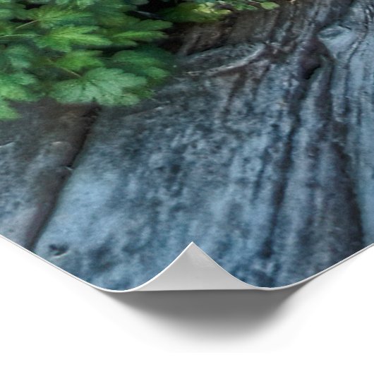 モンタナ幽霊タウンオウトハウス ポスター (角)