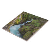 モンタナ氷河の国立公園アバランシェクリーク タイル (側面)