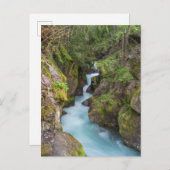 モンタナ氷河の国立公園アバランシェクリーク ポストカード (正面/裏面)