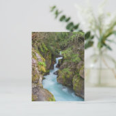 モンタナ氷河の国立公園アバランシェクリーク ポストカード (スタンド正面)